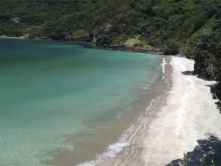 Turquoise water at Oke Bay beach.