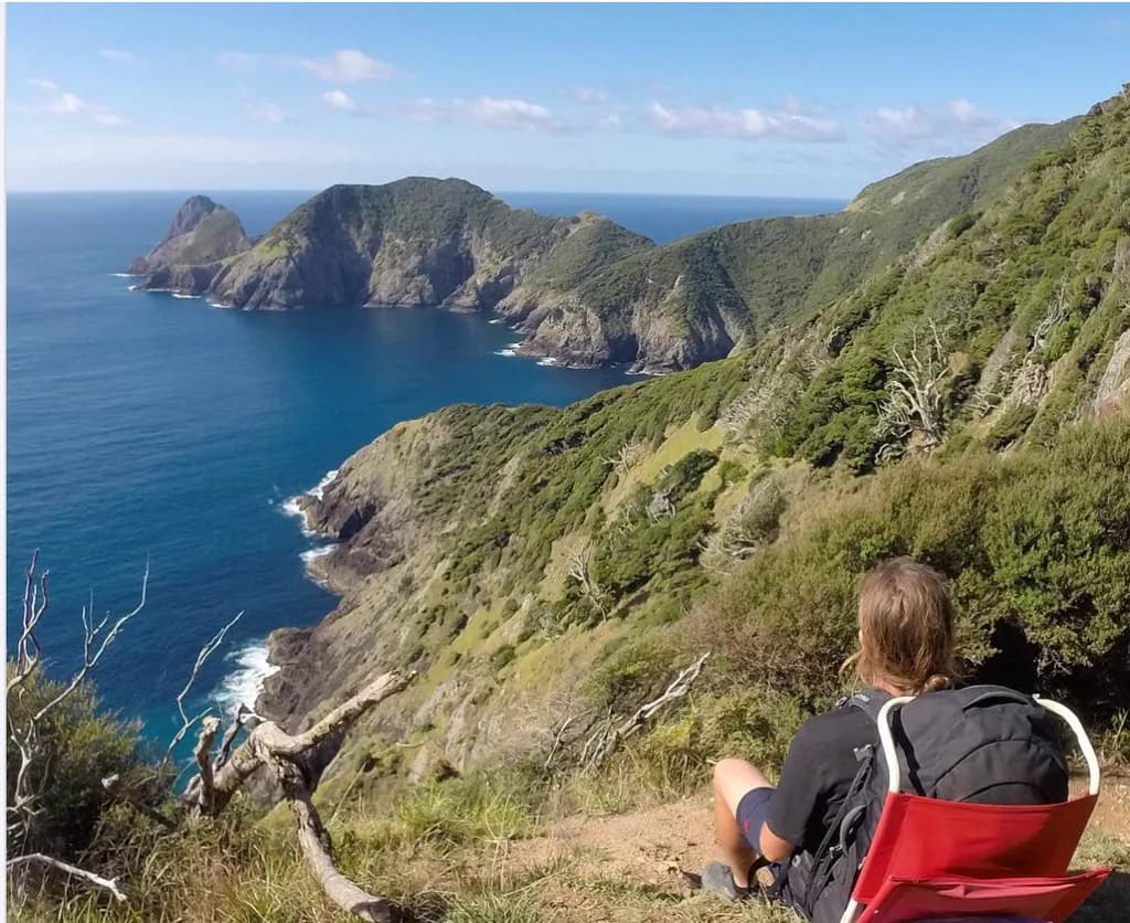 A tramper resting and taking in the view from the Cape Brett Track.